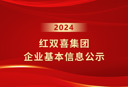 企业基本信息公示（2024年度...