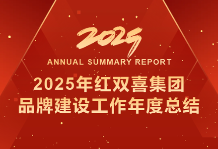 2025年红双喜集团品牌建设工...