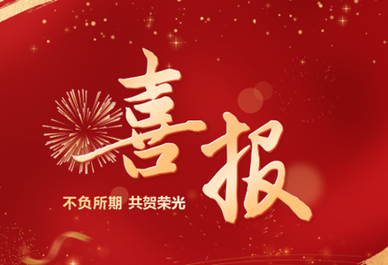 喜报！红双喜集团荣获2024-...
